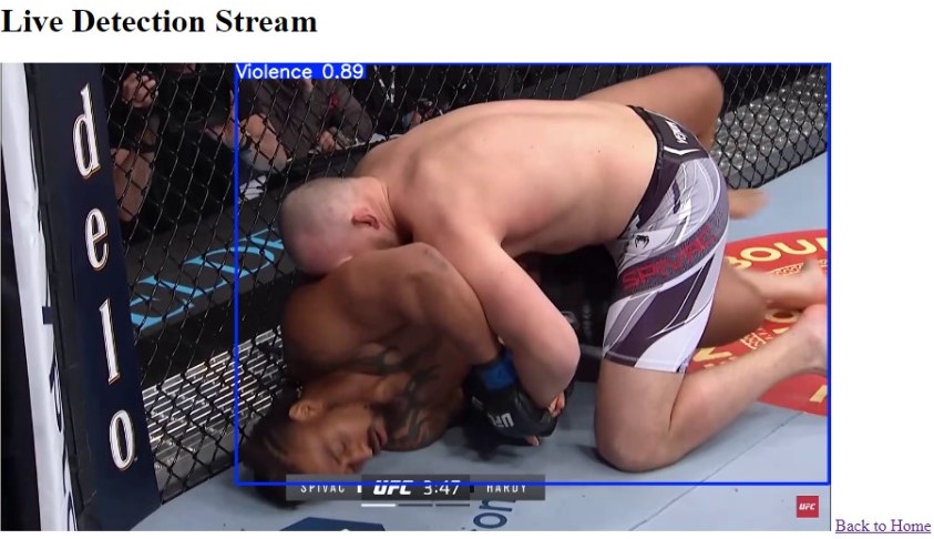 Violence Detector Screenshot 2